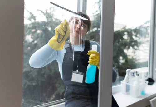 Nettoyage de vitres intérieures et extérieures à Alloinay